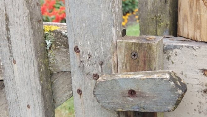 Aizslēgti vārtiņi uz muzeju