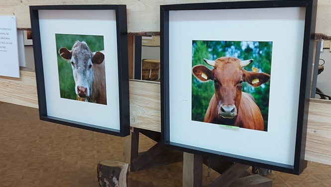 Govju fotogrāfijas muzejā