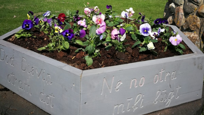 Puķu kaste ar puķēm muzeja pagalmā