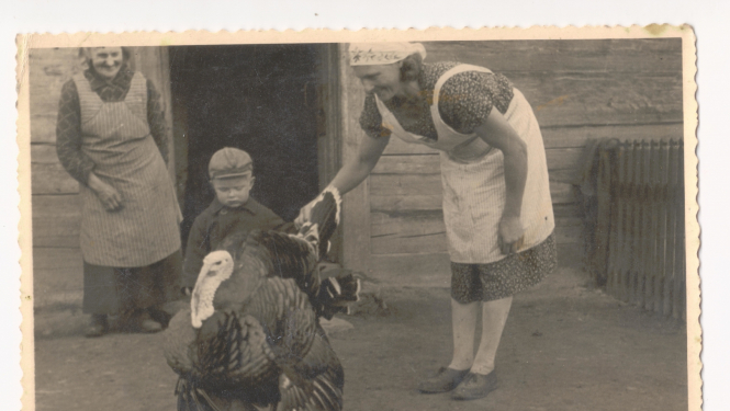 Trīs paaudzes senā lauku sētā gana tītaru