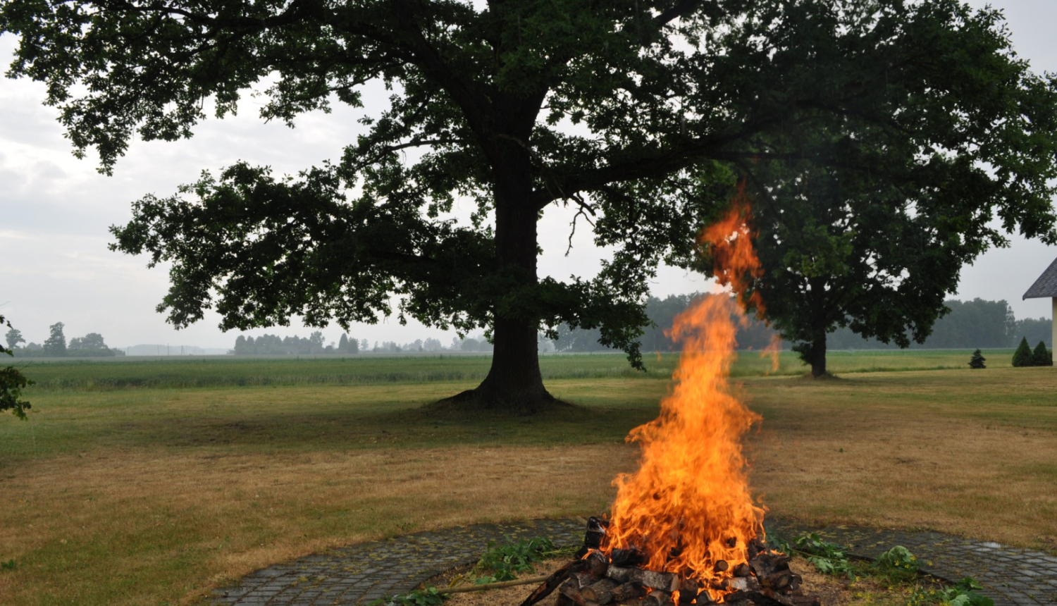 Vasaras Saulgriežu ugunskurs netālu no muzeja lielā ozola