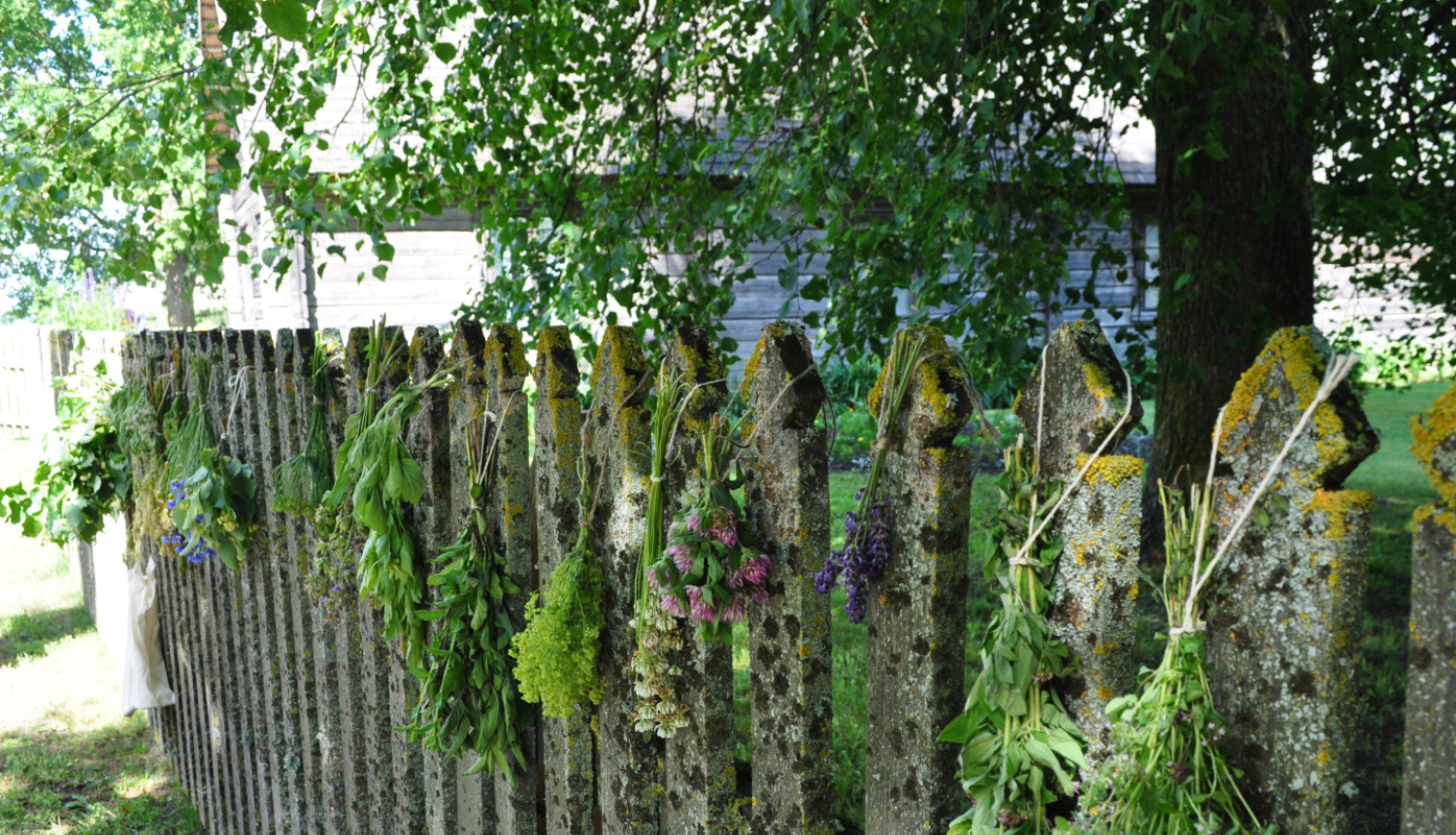 Uz muzeja sētas saliktas dažādas zāļu slotas