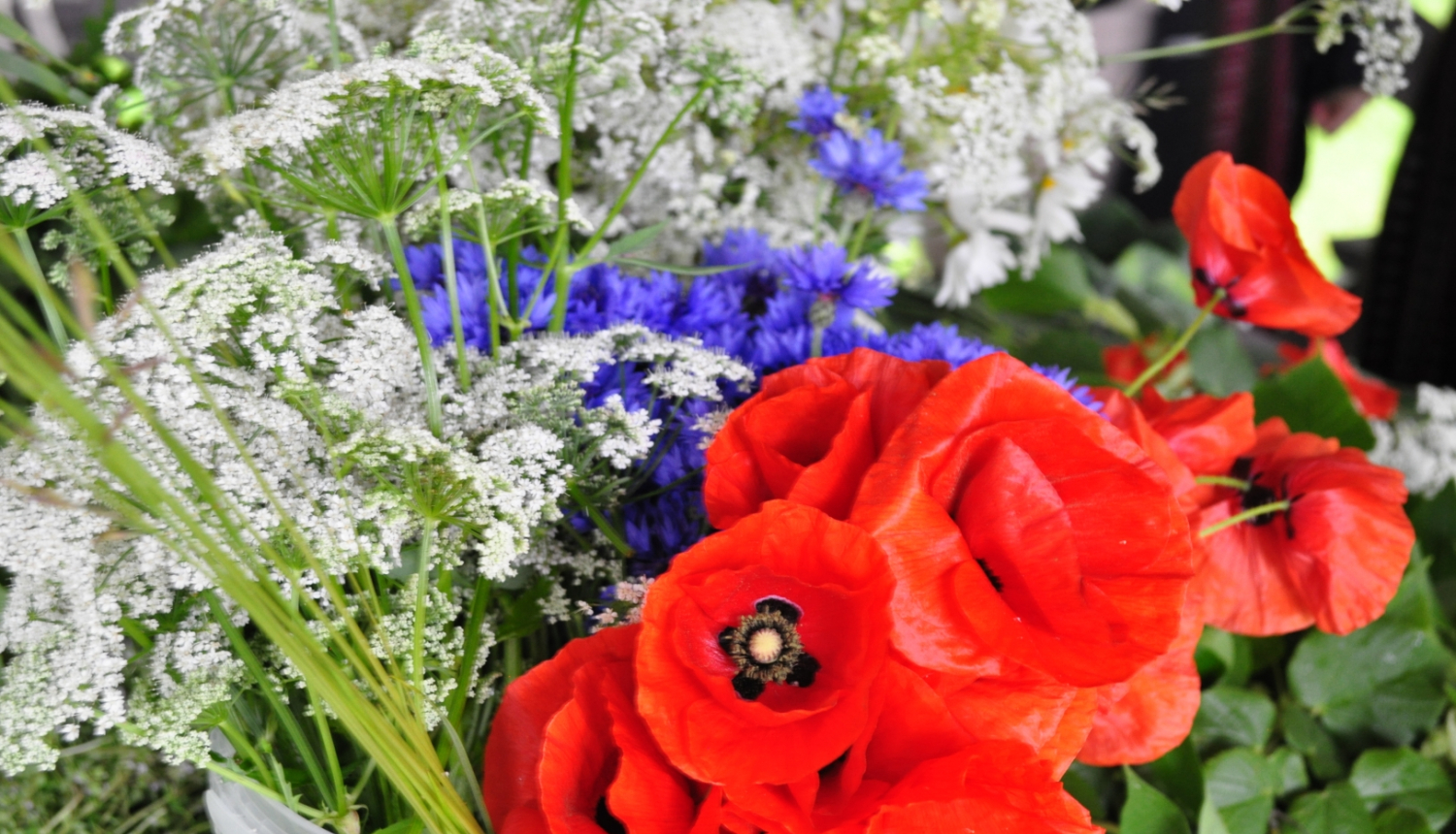 Krāsains Līgo svētku puķu pušķis