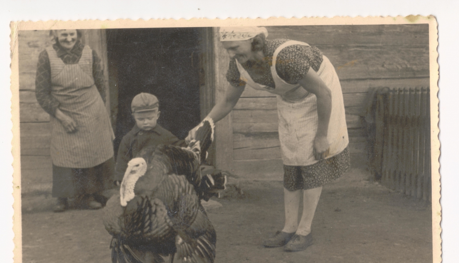 Trīs paaudzes senā lauku sētā gana tītaru